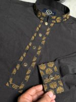 china vangchur panjabi 120