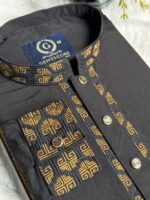 china vangchur panjabi 120 - Image 2